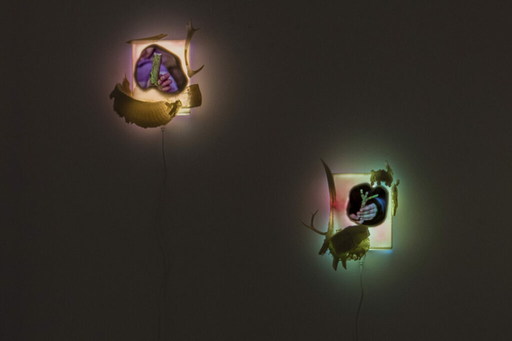 Basalt - Error Folk - Vue d'exposition Error Folk, 2025
©Catherine Duverger