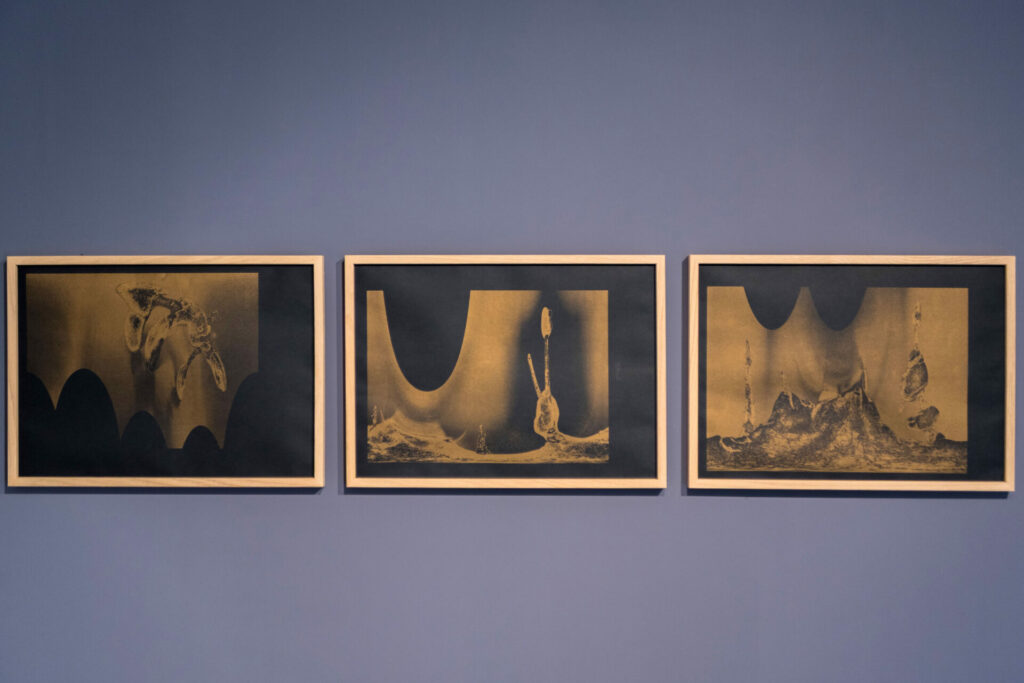 Basalt - Error Folk - Vue d'exposition Error Folk, 2025
©Catherine Duverger