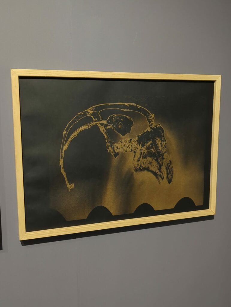 Basalt - Error Folk - Vue d'exposition Error Folk, 2025
©Catherine Duverger